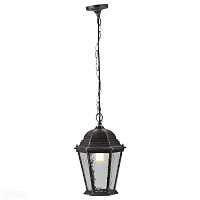 Подвесной уличный светильник Arte Lamp GENOVA A1205SO-1BS