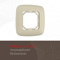Рамка из поликарбоната на 1 пост 505.05-1.shampan Arte Milano