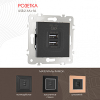 Розетка USB 2.1А+1А 203.46-1.black Arte Milano