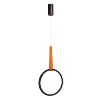 Светодиодный подвесной светильник DeMarkt Ральф 675015901