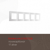 Рамка из поликарбоната на 5 постов 517.17-5.silver Arte Milano