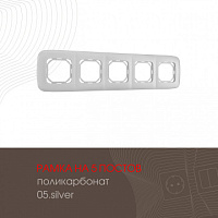 Рамка из поликарбоната на 5 постов 505.05-5.silver Arte Milano