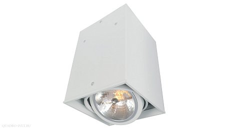 Встраиваемый точечный светильник Arte Lamp CARDANI A5936PL-1WH