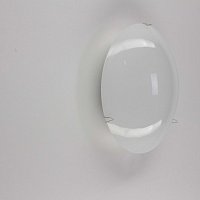 Настенно-потолочный светильник CITILUX CL917000