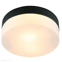Потолочный светильник для ванной комнаты Arte Lamp AQUA-TABLET A6047PL-1BK