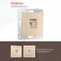 Розетка телефонная, RJ11 206.51-1.shampan Arte Milano