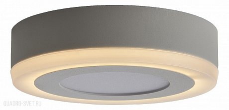 Накладной светильник Arte Lamp Antares A7806PL-2WH