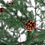 Ель CRYSTAL TREES БОРГО зеленая с шишками 210 см. KP16210