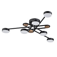 Потолочная светодиодная люстра Arte Lamp TAYGETA A2455PL-6BK