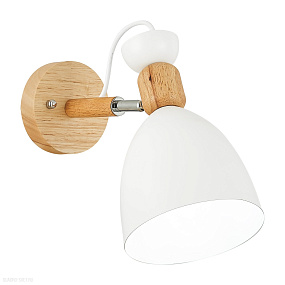 Светильник настенный EVOLUCE BALCAMO SLE103801-01