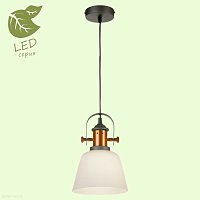 Подвесной светильник Lussole Loft BINGHAMTON GRLSP-9846