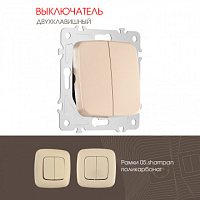 Выключатель двухклавишный, 10AX 250V 205.30-2.shampan Arte Milano
