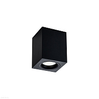 Накладной светильник Maytoni Alfa C013CL-01B