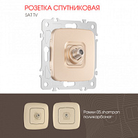 Розетка спутниковая, SAT TV 205.42-1.shampan Arte Milano