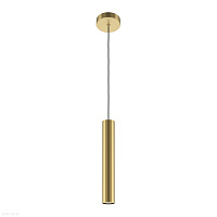 Подвесной светильник Maytoni Pro Focus MOD161PL-01G1