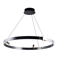 Светодиодный подвесной светильник Arte Lamp CESARE A1993SP-38BK