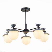 Люстра потолочная EVOLUCE GENOVA SLE220202-05