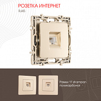 Розетка интернет, RJ45 217.45-1.shampan Arte Milano