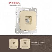 Розетка интернет, RJ45 205.45-1.shampan Arte Milano