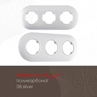 Рамка из поликарбоната на 3 поста 502.08-3.silver Arte Milano