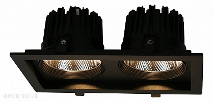 Встраиваемый светильник Arte Lamp Privato A7018PL-2BK