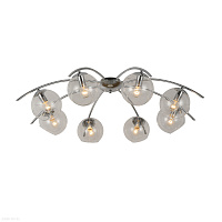 Потолочная люстра EVOLUCE RATELLA SLE102602-08