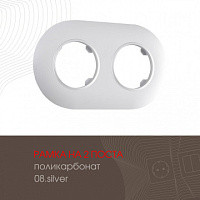 Рамка из поликарбоната на 2 поста 502.08-2.silver Arte Milano