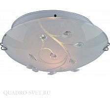 Настенно-потолочный светильник Arte Lamp BELLE A4040PL-2CC
