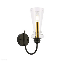 Светильник настенный EVOLUCE RAMMO SLE112401-01