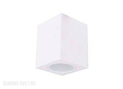 Накладной потолочный светильник Donolux DL263G