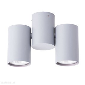 Потолочный светильник Arte Lamp GAVROCHE A1511PL-2GY