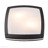 Настенно-потолочный светильник Azzardo Fano S AZ4370
