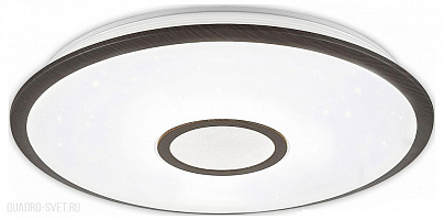 Потолочный светильник CITILUX Старлайт Смарт CL703A65G