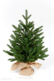 Ель CRYSTAL TREES ПЕРСЕЯ 60 см. KP1160