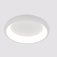 Светодиодный потолочный светильник Arte Lamp MENKIB A2694PL-45WH