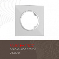Рамка из закаленного стекла на 1 пост 502.01-1.silver Arte Milano