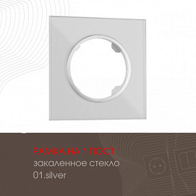 Рамка из закаленного стекла на 1 пост 502.01-1.silver Arte Milano