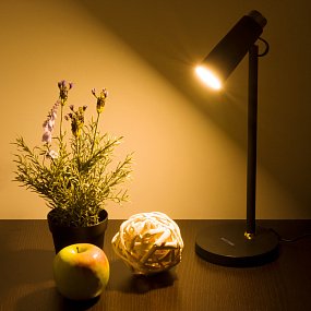 Светодиодная настольная лампа Elektrostandard Joel TL70190
