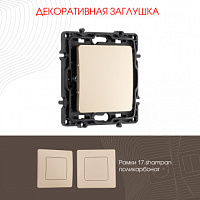 Декоративная заглушка 217.50-1.shampan Arte Milano