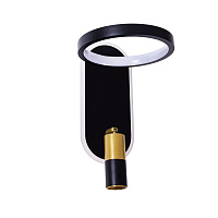 Бра светодиодное Arte Lamp TOLIMAN A2613AP-2BK