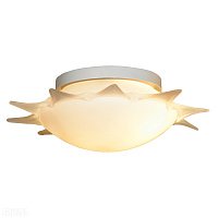 Настенно-потолочный светильник LUSSOLE LSA-1142-03