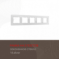 Рамка из закаленного стекла на 5 постов 503.14-5.silver Arte Milano
