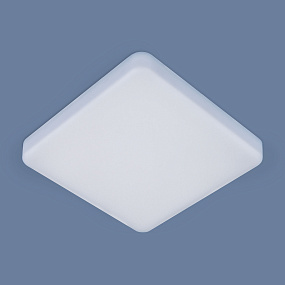 Потолочный светодиодный светильник Elektrostandard DLS043