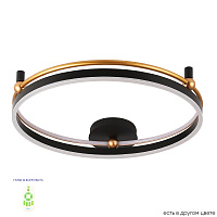 Потолочный светодиодный светильник Crystal Lux FERNANDO PL72W LED BLACK/GOLD