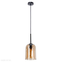 Подвесной светильник Arte Lamp PAIO A7015SP-1BK
