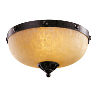 Потолочная люстра L'Arte Luce Fort L50352.46