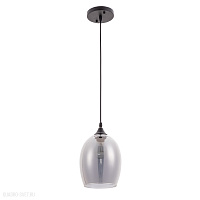 Подвесной светильник Arte Lamp PROPUS A4344SP-1BK