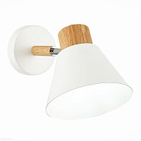 Светильник настенный EVOLUCE BUVE SLE103701-01