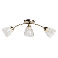 Потолочная люстра De City Вита 220014603