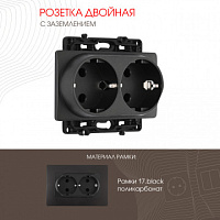 Розетка двойная с заземлением, 16A 250V 217.40-2.black Arte Milano
